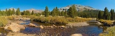 Yosemite NP, Tuolumne Meadows / Code UCA_012